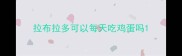 拉布拉多可以每天吃鸡蛋吗