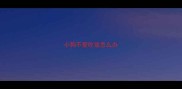 小狗不爱吃饭怎么办
