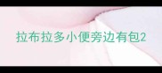 拉布拉多小便旁边有包