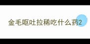 金毛呕吐拉稀吃什么药