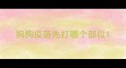 狗狗疫苗先打哪个部位