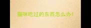 猫咪吃过的东西怎么办