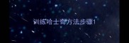 训练哈士奇方法步骤