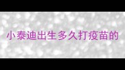 小泰迪出生多久打疫苗的