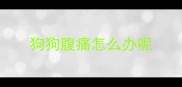 狗狗腹痛怎么办呢