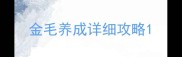 金毛养成详细攻略