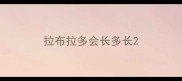拉布拉多会长多长