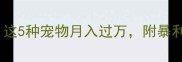 家庭养殖新风口这5种宠物月入过万附暴利项目实操指南