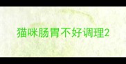 猫咪肠胃不好调理