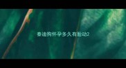 泰迪狗怀孕多久有胎动