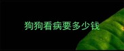 狗狗看病要多少钱