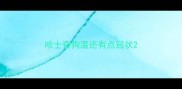 哈士奇狗温还有点冠状