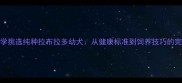如何科学挑选纯种拉布拉多幼犬从健康标准到饲养技巧的完整指南