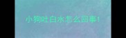 小狗吐白水怎么回事