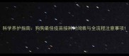 科学养护指南狗狗最佳疫苗接种时间表与全流程注意事项
