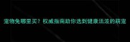 宠物兔哪里买权威指南助你选到健康活泼的萌宠