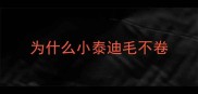为什么小泰迪毛不卷