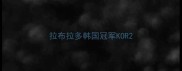 拉布拉多韩国冠军KOR