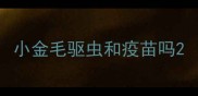 小金毛驱虫和疫苗吗