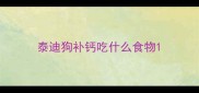 泰迪狗补钙吃什么食物