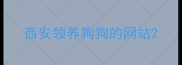 西安领养狗狗的网站