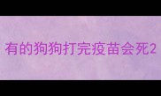 有的狗狗打完疫苗会死