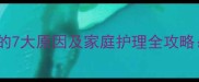 半岁小狗牙齿出血的7大原因及家庭护理全攻略附专业兽医建议