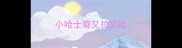 小哈士奇又拉又吐