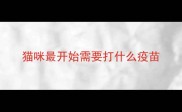 猫咪最开始需要打什么疫苗