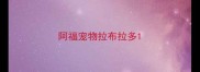 阿福宠物拉布拉多