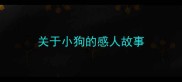 关于小狗的感人故事