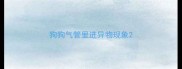 狗狗气管里进异物现象