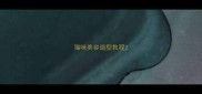 猫咪美容造型教程