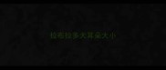 拉布拉多犬耳朵大小