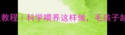 泰迪泡湿狗粮教程科学喂养这样做毛孩子越吃越健康
