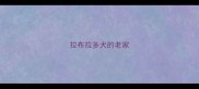 拉布拉多犬的老家