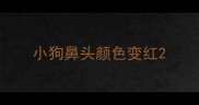 小狗鼻头颜色变红