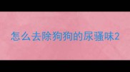 怎么去除狗狗的尿骚味