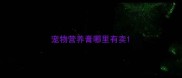 宠物营养膏哪里有卖