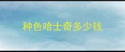 种色哈士奇多少钱