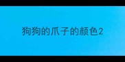 狗狗的爪子的颜色