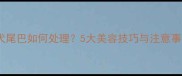 泰迪犬尾巴如何处理5大美容技巧与注意事项全