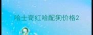 哈士奇红哈配狗价格