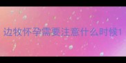 边牧怀孕需要注意什么时候