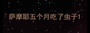 萨摩耶五个月吃了虫子