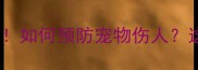 哈士奇咬人事件频发如何预防宠物伤人这份防咬指南请收好