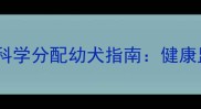 边境牧羊犬配种后科学分配幼犬指南健康监测与领养管理全