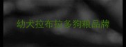 幼犬拉布拉多狗粮品牌