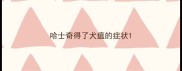 哈士奇得了犬瘟的症状