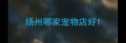 扬州哪家宠物店好